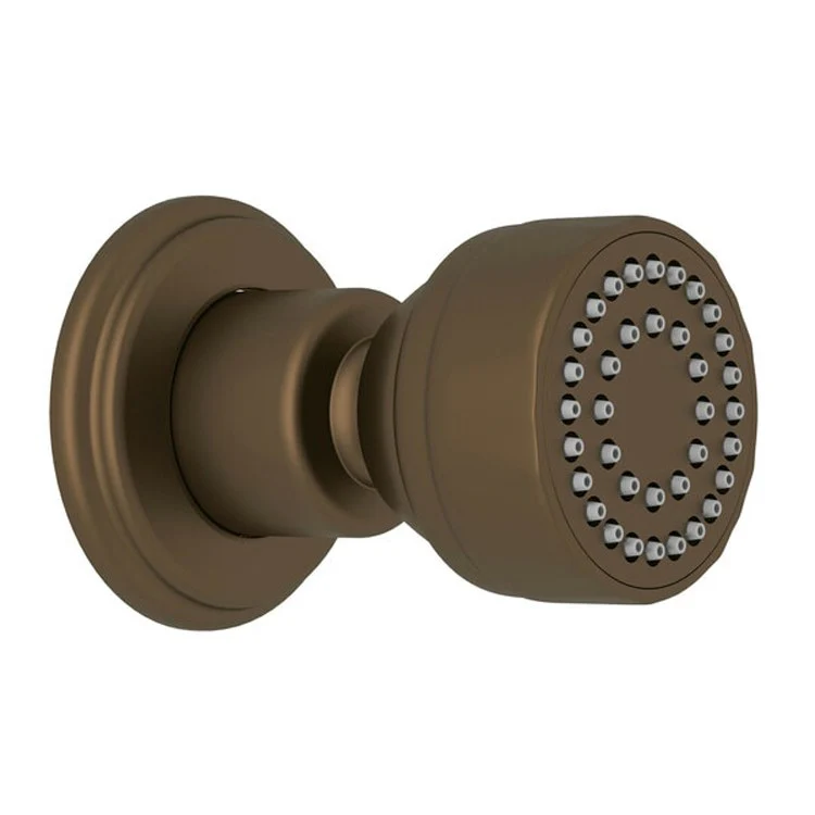 Body Spray Unlacquered Brass Wall Mount 3 Inch 1 Function 1.0 Gallons per Minute 1/2IN FNPT - Frankwebs