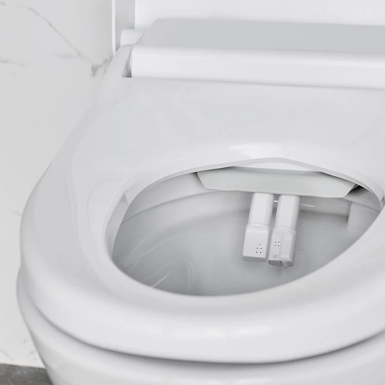 Advanced Clean 100 SpaLet One-Piece Bidet Toilet - Frankwebs