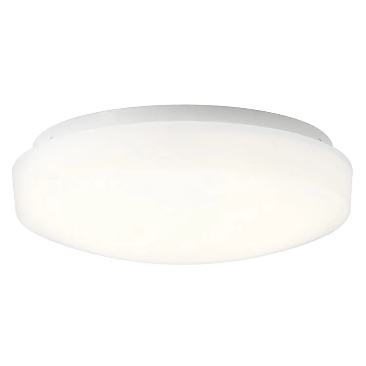 Ceiling Space Single-Light LED Flush Mount Ceiling Fixture - Frankwebs