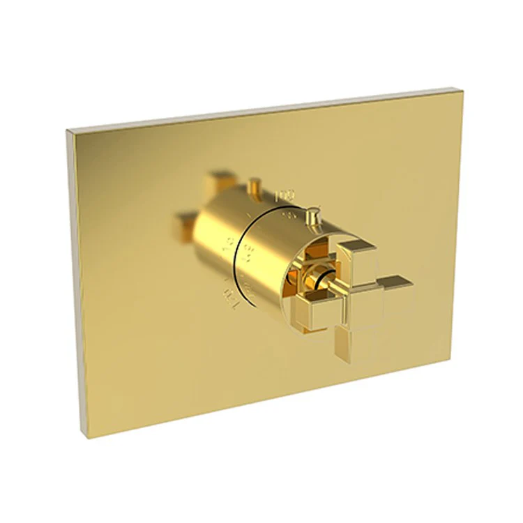 Thermostatic Trim Malvina Rectangular Plate 1 Cross Forever Brass PVD ADA for Rough Valve 1-540 Face Plate and Temperature-Adjust Handle Brass - Frankwebs