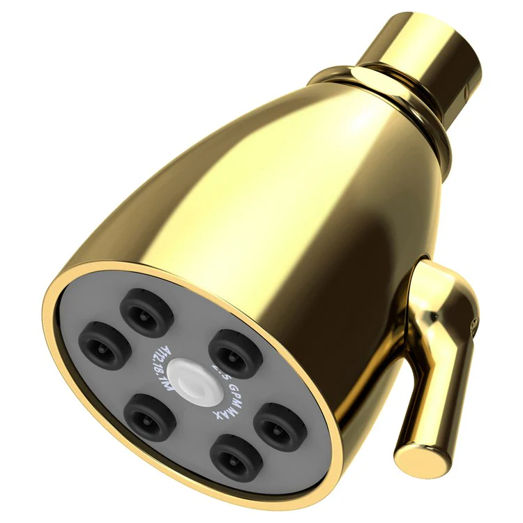 Single-Function Six-Jet Showerhead - Midnight Chrome - Frankwebs