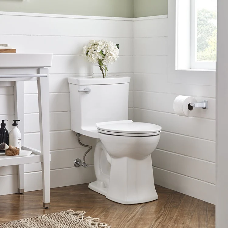 Townsend Vormax One-Piece Right Height High-Efficiency Elongated Toilet with Seat - Frankwebs
