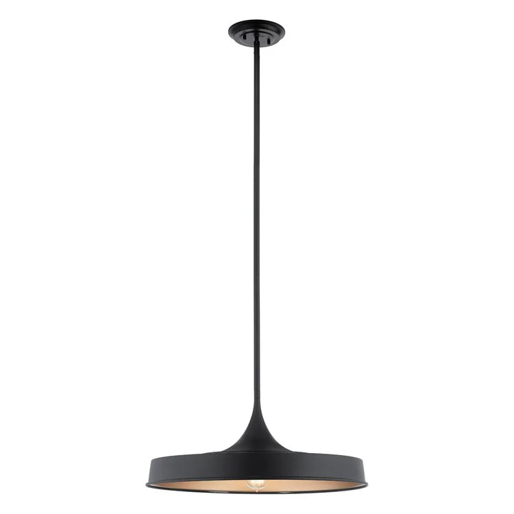 Elias Single-Light Convertible Pendant/Semi-Flush Mount Ceiling Fixture - Frankwebs
