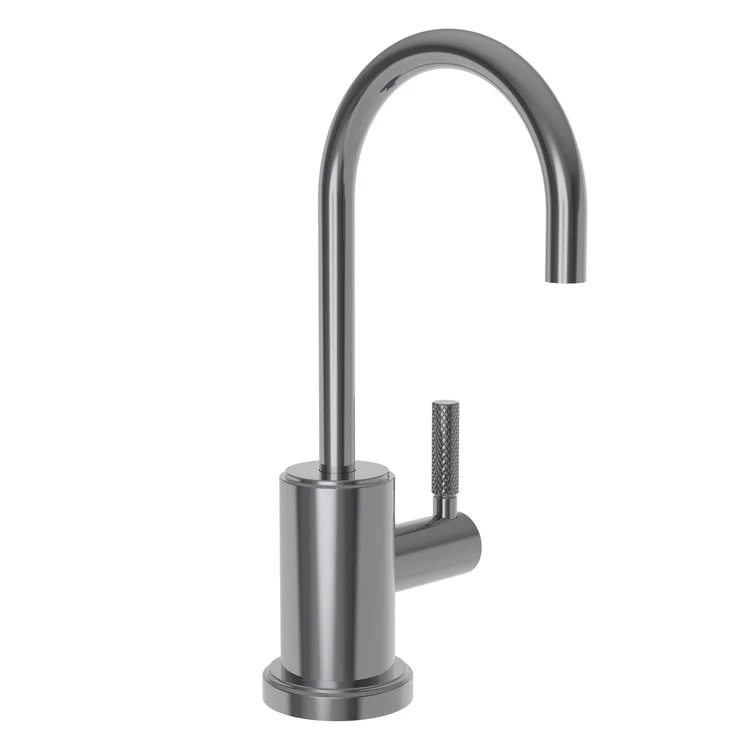 Cold Water Dispenser Muncy 1 Lever ADA Gooseneck Polished Nickel - Frankwebs