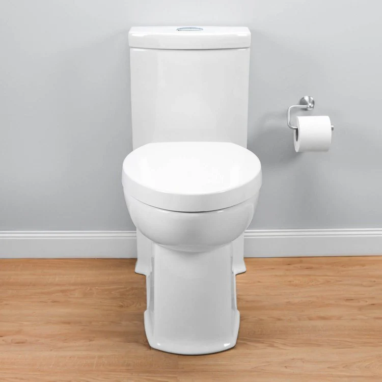 Boulevard Right Height FloWise Elongated 1-Piece Toilet with Top Mount Trip Lever - Frankwebs