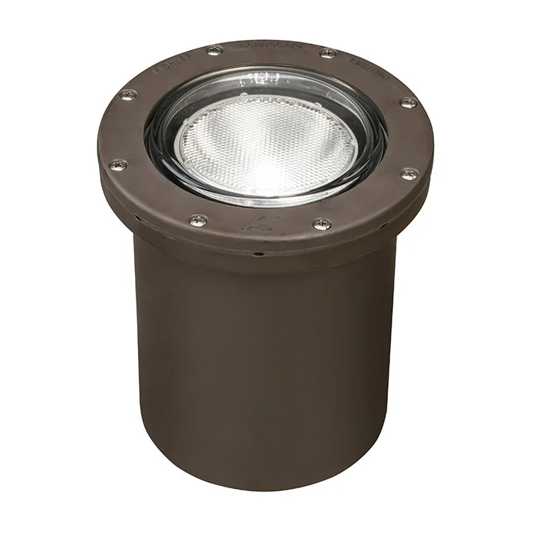 Single-Light Small PAR20/PAR30 In-Ground Well Light - Frankwebs