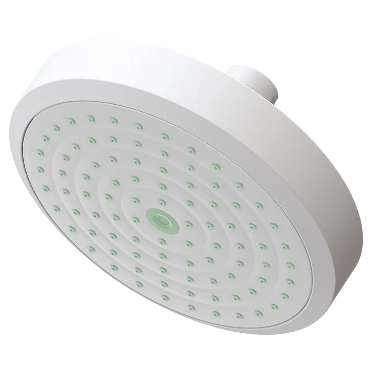 Showerhead Newport Bath 1 Function French Gold PVD 5-15/16 Inch 1.8 Gallons per Minute Rubber NZL - Frankwebs