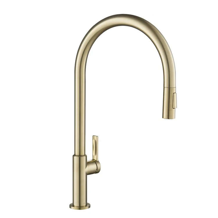 Oletto High-Arc Single Handle Pull Down Kitchen Faucet - Frankwebs
