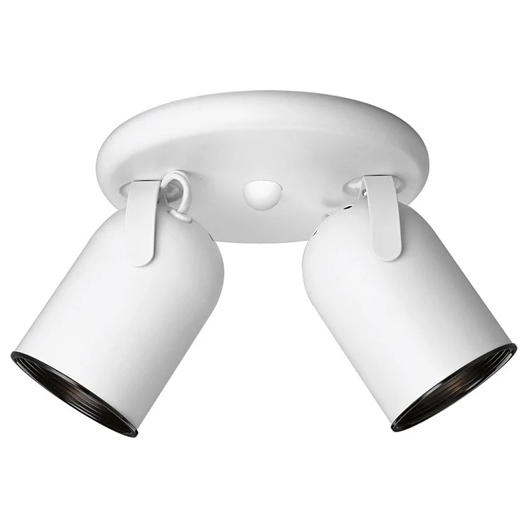 Directional Two-Light Round Back Ceiling Light - Frankwebs