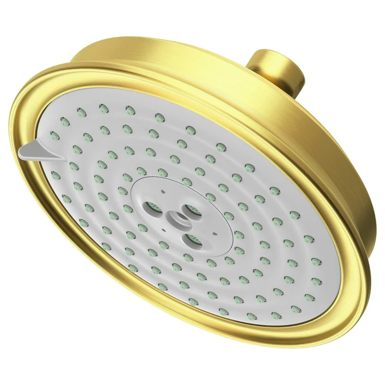 Traditional Five-Function Shower Head - Frankwebs