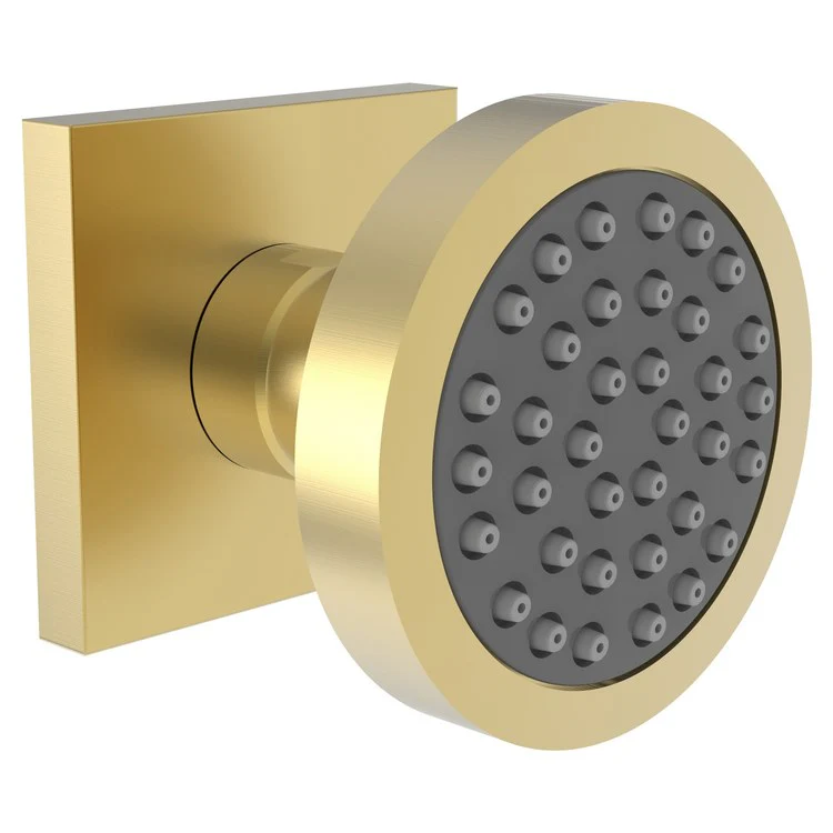 Body Spray Newport Bath Gloss Black 2-1/2 Inch Single Function 1.75 Gallons per Minute 1/2