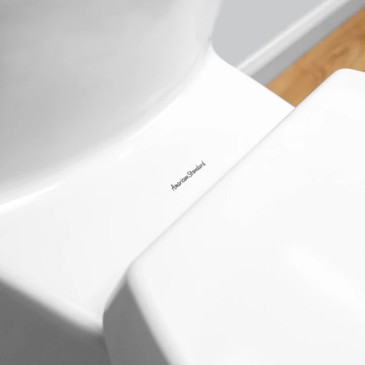 Boulevard Right Height FloWise Elongated 1-Piece Toilet - Frankwebs