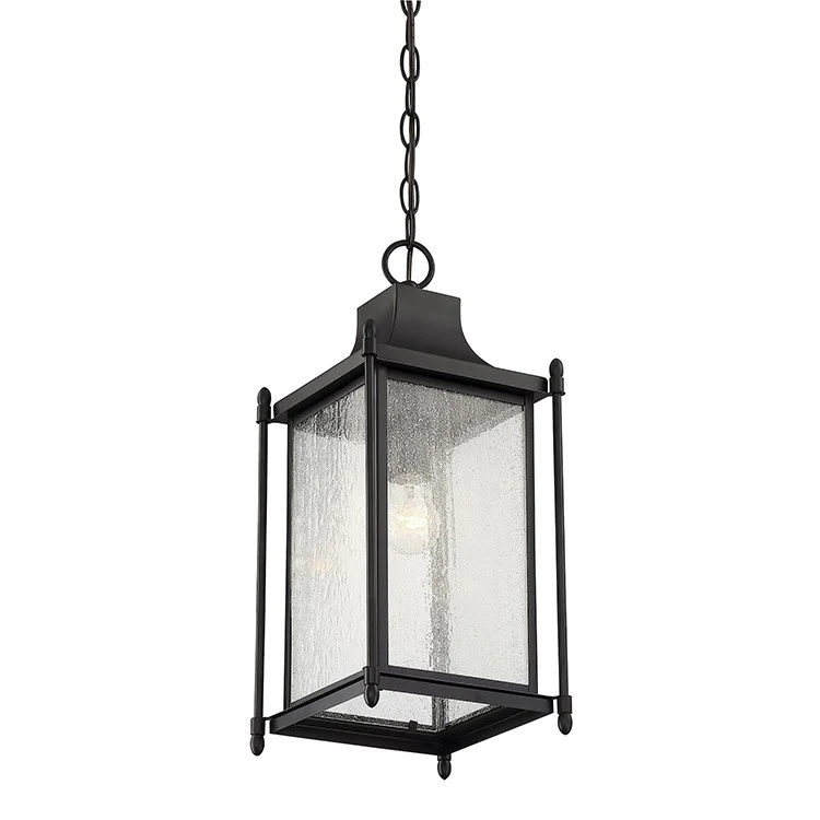 Dunnmore Single-Light Hanging Lantern - Frankwebs