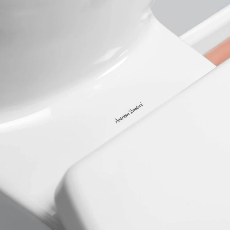 Tropic Right Height FloWise Elongated 1-Piece Toilet - Frankwebs