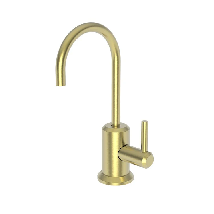 Cold Water Dispenser Jeter 1 Lever ADA Gooseneck Polished Brass Uncoated Living - Frankwebs
