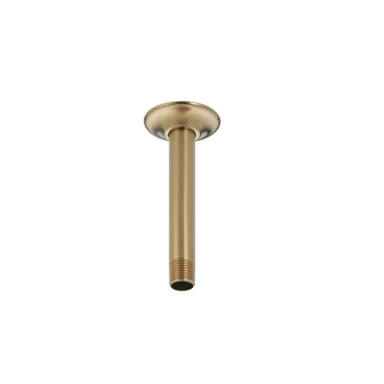Ceiling Mount 6