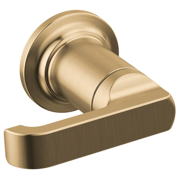 Handle Assembly Tetra 3-3/4 Inch 1 Lever Lumicoat Chrome ADA for Tetra Wall Mount Tub Filler - Frankwebs