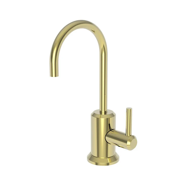 Cold Water Dispenser Jeter 1 Lever ADA Gooseneck Polished Brass Uncoated Living - Frankwebs