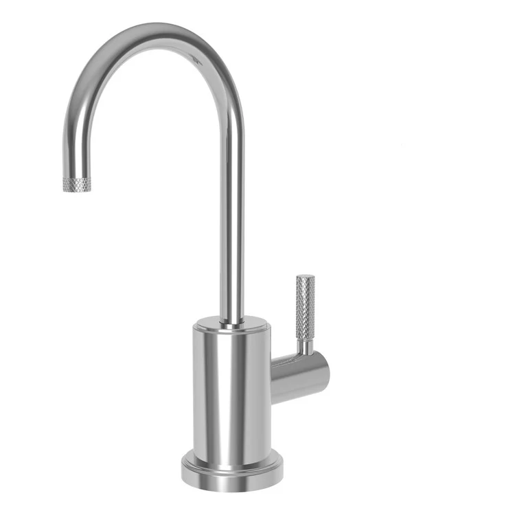 Cold Water Dispenser Muncy 1 Lever ADA Gooseneck Polished Nickel - Frankwebs