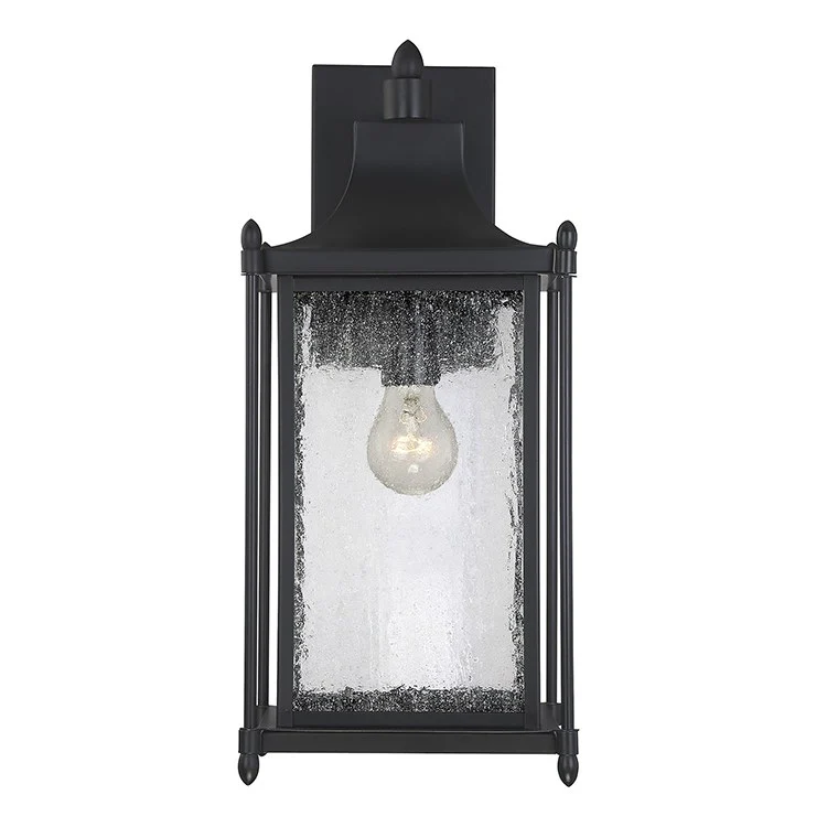 Dunnmore Single-Light Outdoor Wall Mount Lantern - Frankwebs