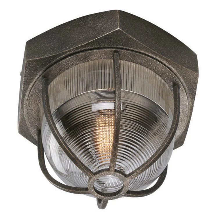 Acme Single-Light Flush Mount Ceiling Fixture - Frankwebs