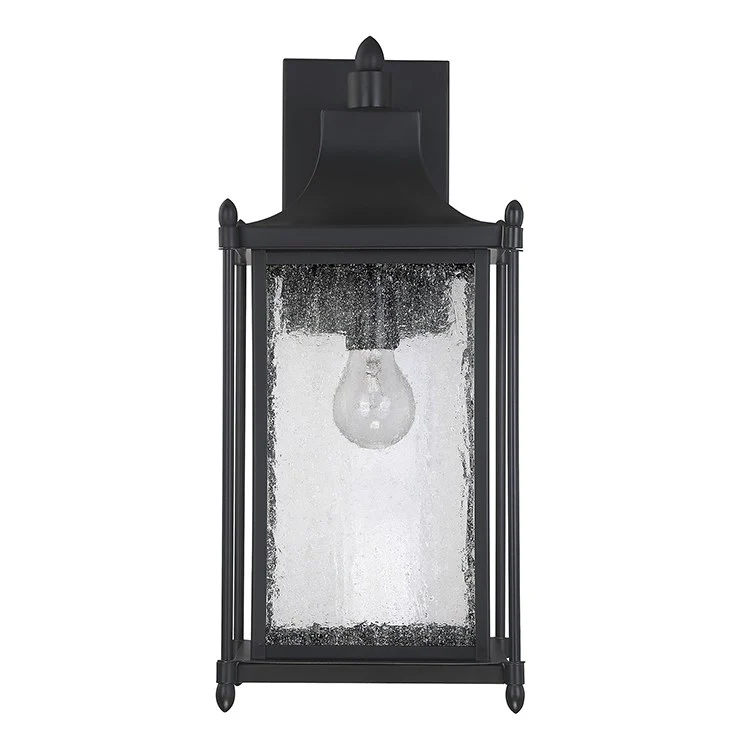 Dunnmore Single-Light Outdoor Wall Mount Lantern - Frankwebs