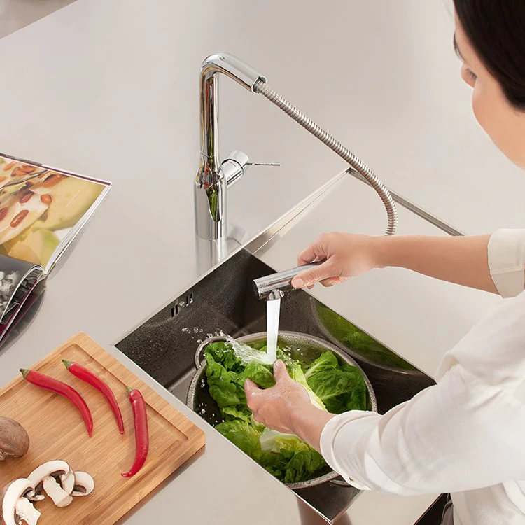 Essence Single Handle Pull-Out Kitchen Faucet - Frankwebs