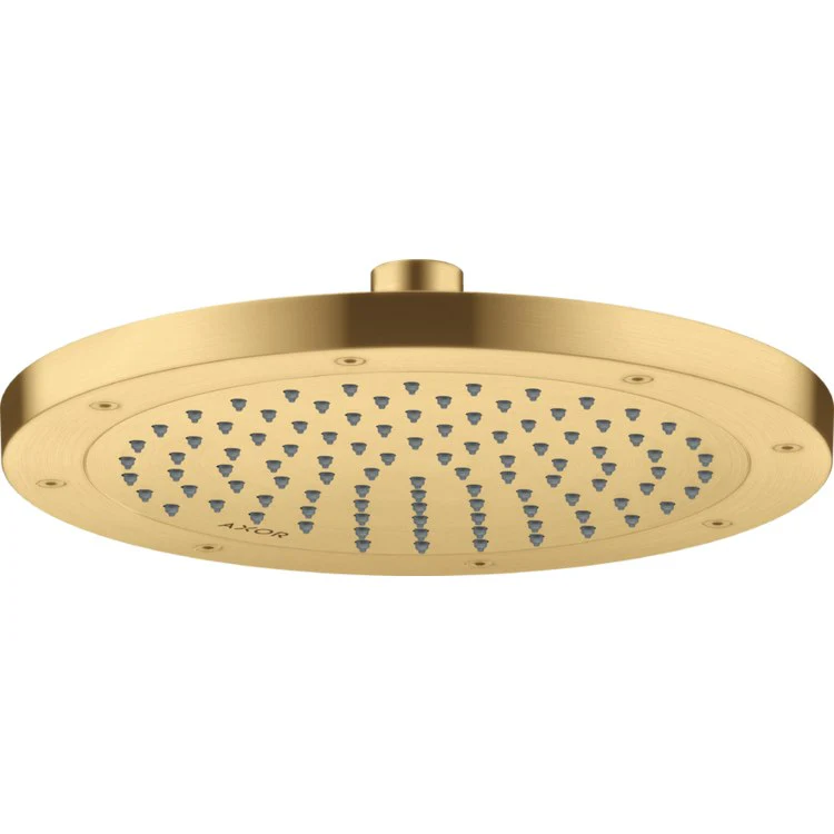 Showerhead ShowerSolutions 1 Function Brushed Black Chrome 9-7/8 Inch 1.5 Gallons per Minute Rain - Frankwebs