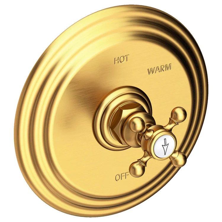 Astor Pressure Balance Valve Trim Only - Frankwebs