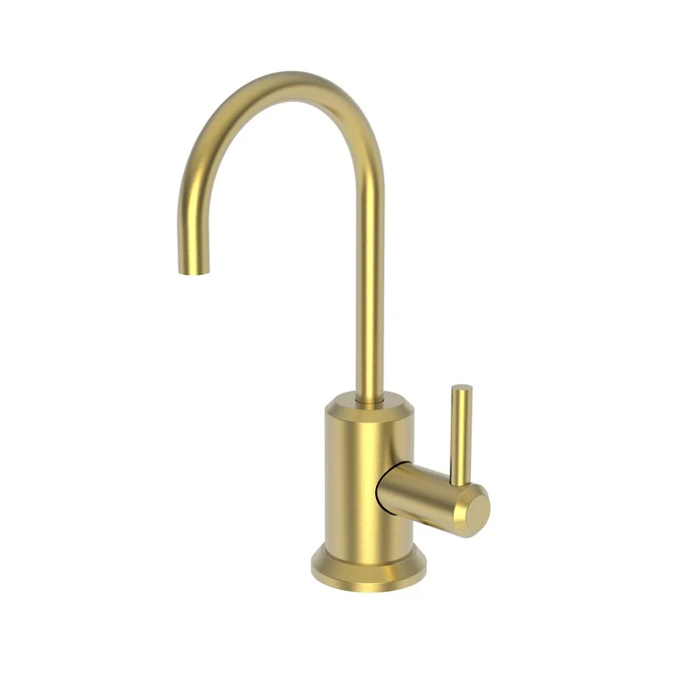Cold Water Dispenser Jeter 1 Lever ADA Gooseneck Polished Brass Uncoated Living - Frankwebs