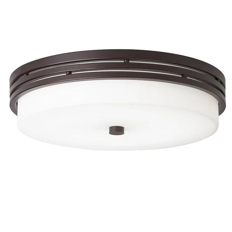 Ceiling Space Single-Light LED Flush Mount Ceiling Fixture - Frankwebs