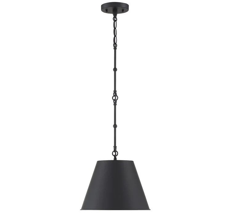 Alden Single-Light Pendant - Frankwebs