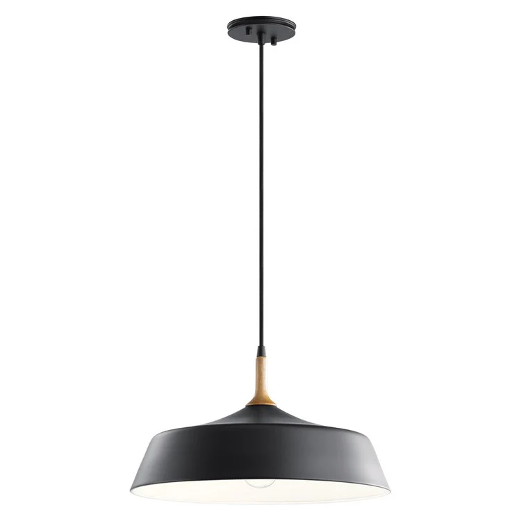 Danika Single-Light Pendant - Frankwebs