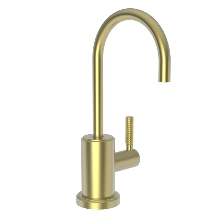Cold Water Dispenser Muncy 1 Lever ADA Gooseneck Polished Nickel - Frankwebs