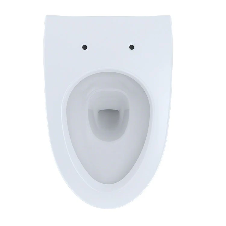 Maris Dual Flush Wall-Mount Toilet without Seat - Frankwebs