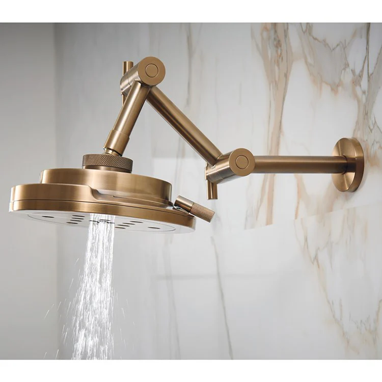 Litze H2OKinetic Four-Function Raincan Shower Head - Frankwebs