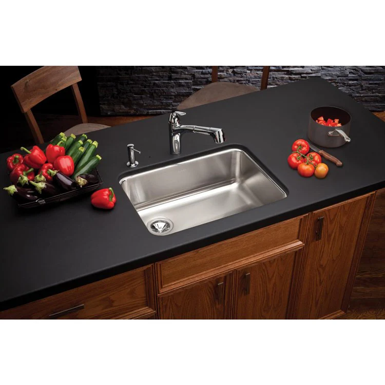 Kitchen Sink Lustertone Classic 25.5 x 19.25 Inch Depth 8 Inch Single Bowl Lustrous Satin Undermount Drain Location Rear Left - Frankwebs