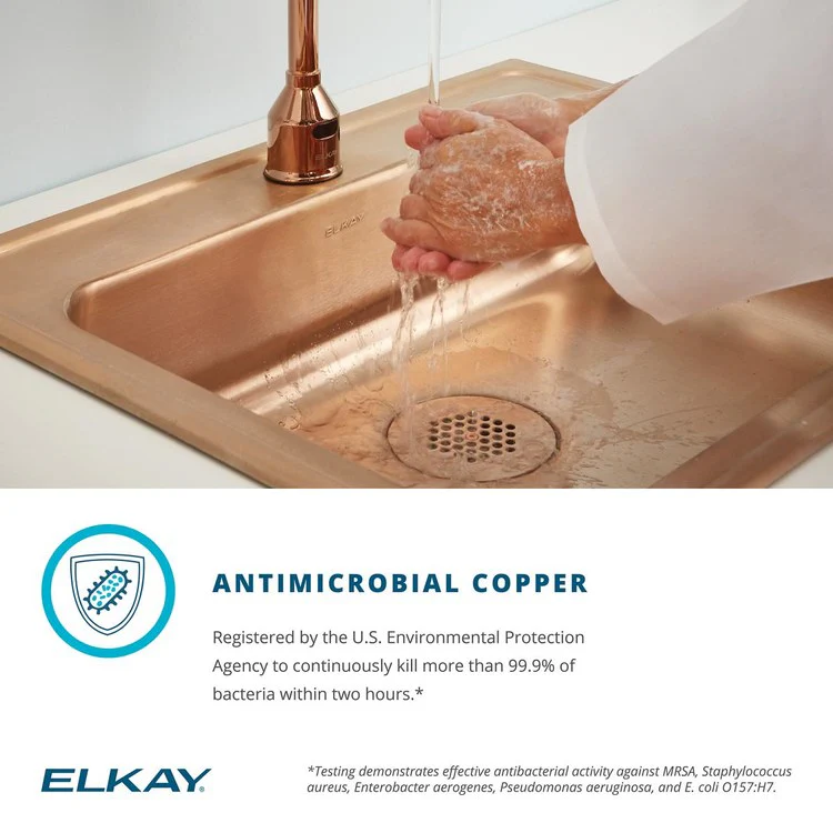 Lavatory Sink CuVerro 19.5 x 16.5 Inch Oval ADA Lustrous Satin LKF293-CU Overflow Assembly - Frankwebs