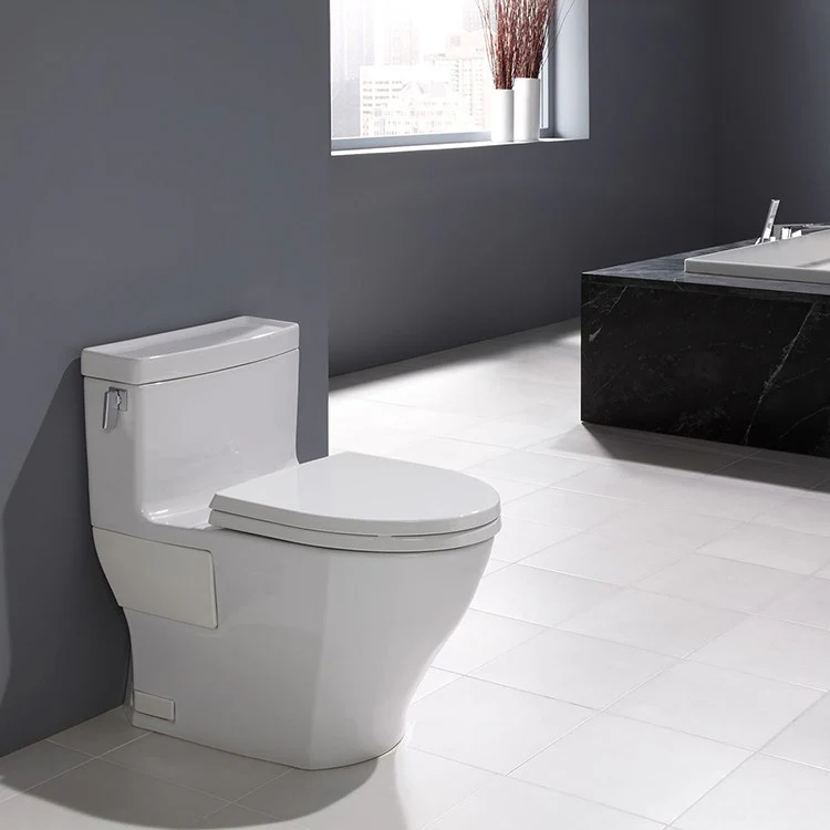 Legato One-Piece Elongated Toilet - Frankwebs