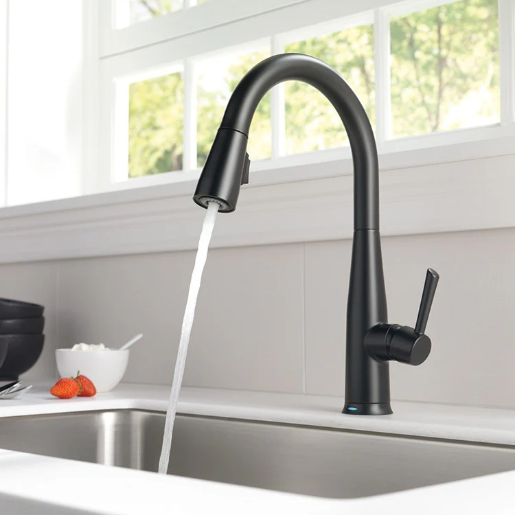 Essa Single Handle Pull Down Kitchen Faucet with Touch2O Technology - Frankwebs