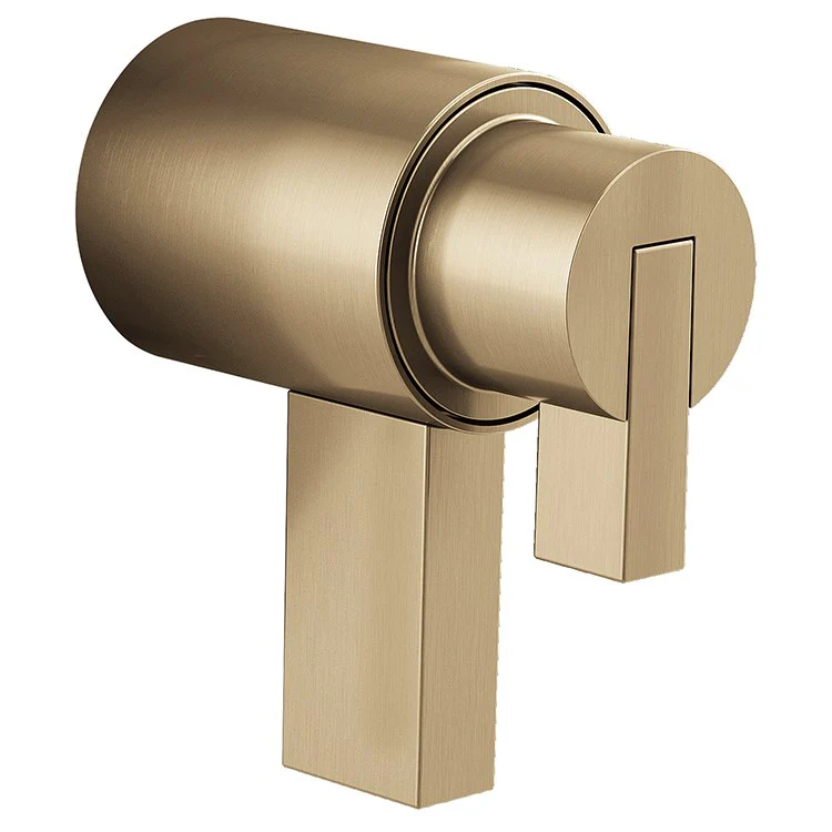 Litze Replacement Lever Handle for TempAssure Thermostatic Valve - Frankwebs