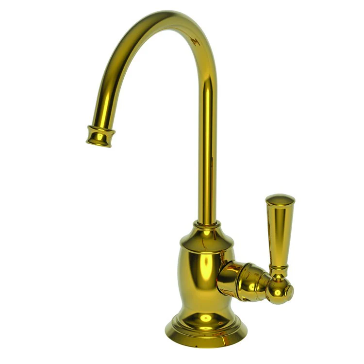 Cold Water Dispenser Jacobean 1 Lever ADA Gooseneck Antique Nickel - Frankwebs
