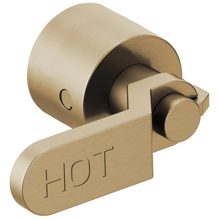 Handle Kit Litze Zinc 2 Industrial Lever Brilliance Luxe Gold ADA for Wall Mount Tub Filler - Frankwebs