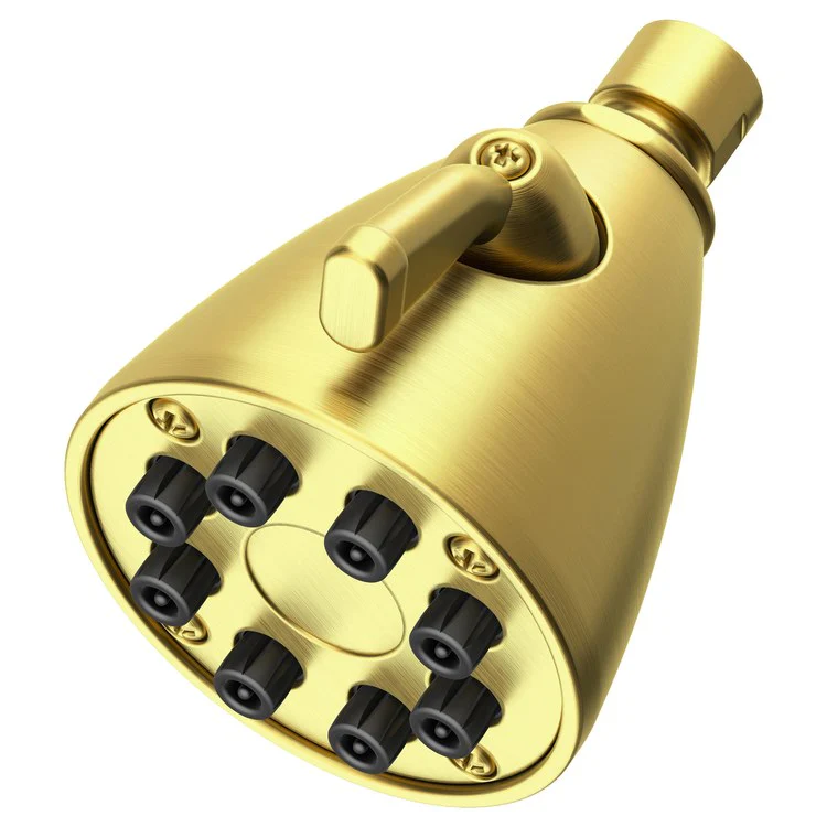 Single-Function Eight-Jet Showerhead - Aged Brass - Frankwebs