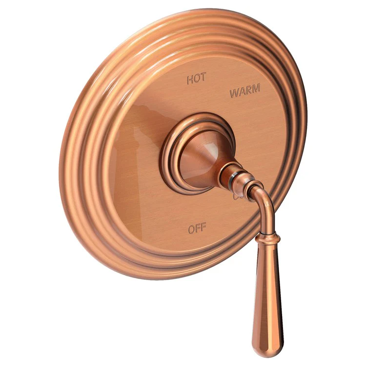 Pressure Balance Valve Trim Bevelle Round 1 Lever Matte White ADA Depth 4-6/7 Inch - Frankwebs