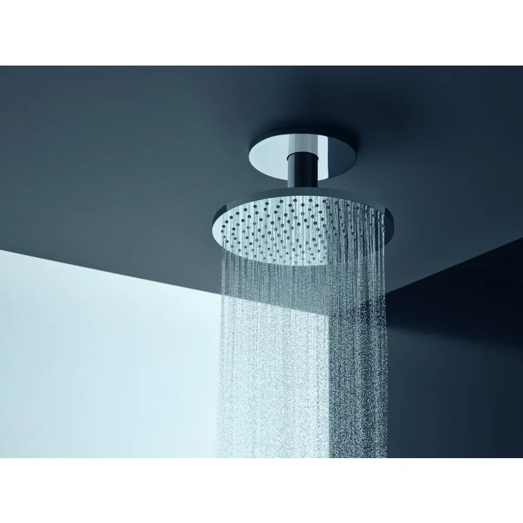 Showerhead ShowerSolutions 2 Function Green Diverter Chrome 9-7/8 Inch 1.75 Gallons per Minute PowderRain Intense PowderRain - Frankwebs