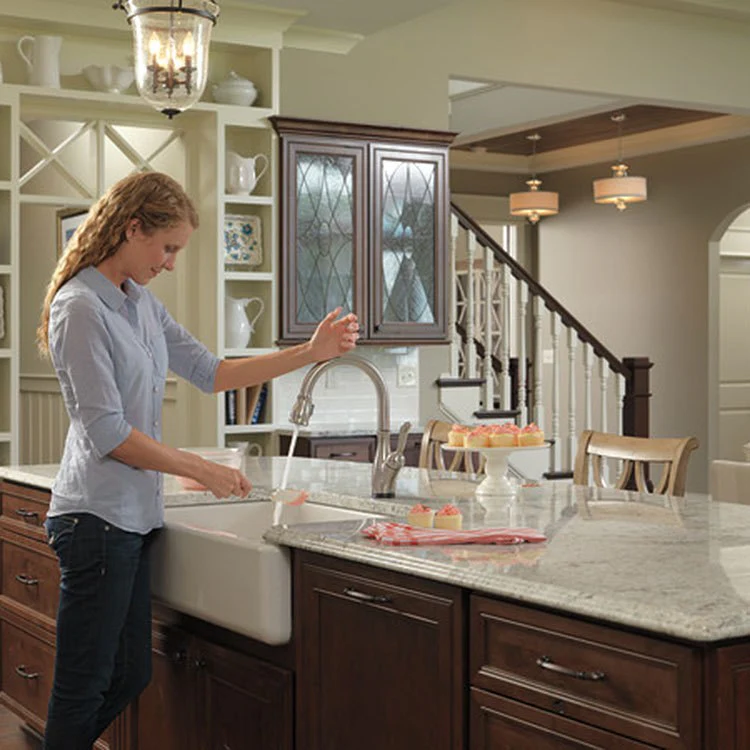 Leland Single Handle Pull Down Kitchen Faucet with Touch2O Technology - Frankwebs
