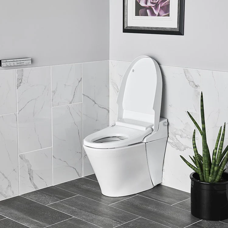 Advanced Clean 100 SpaLet One-Piece Bidet Toilet - Frankwebs