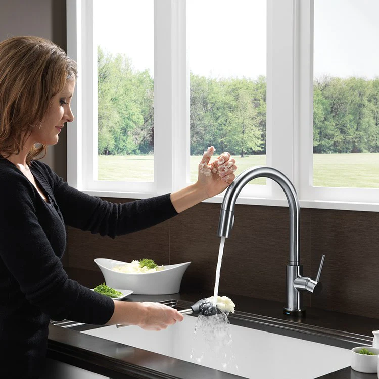 Trinsic Single Handle Pull Down Kitchen Faucet with Touch2O Technology - Frankwebs