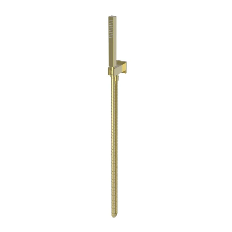 Handshower Set Tub and Shower Contemporary Square Plate Polished Brass Uncoated Living 1 Function 1.8 Gallons per Minute - Frankwebs
